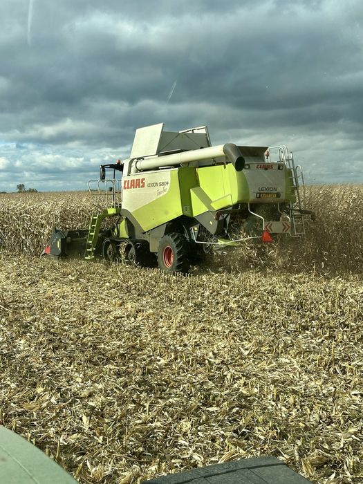 Koszenie zbiór kukurydzy na ziarno Claas lexion 580