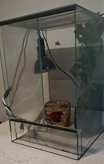 Terarium po kameleonie