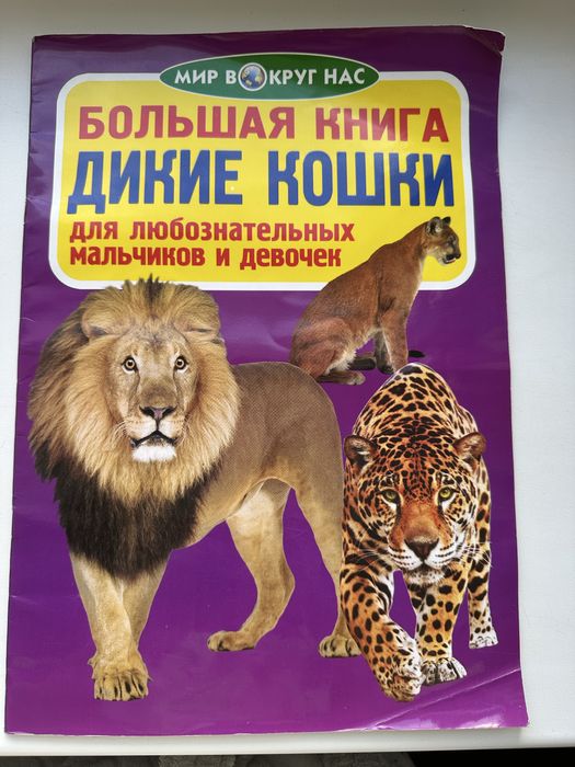 Книжечки і розфарбовка