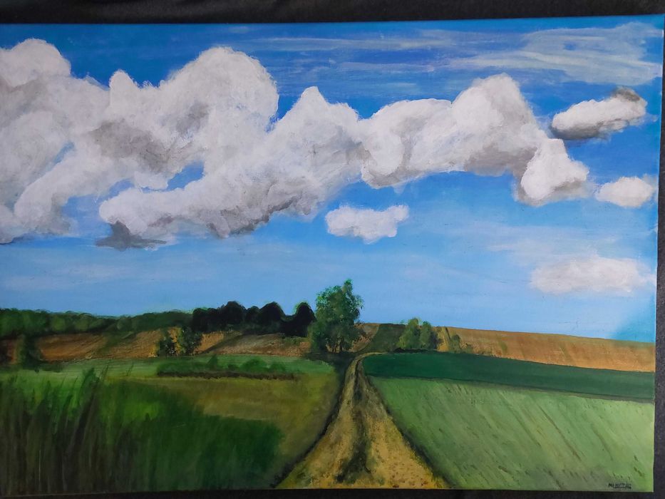 Obraz ręcznie malowany na płótnie - akryl 50x70 cm.