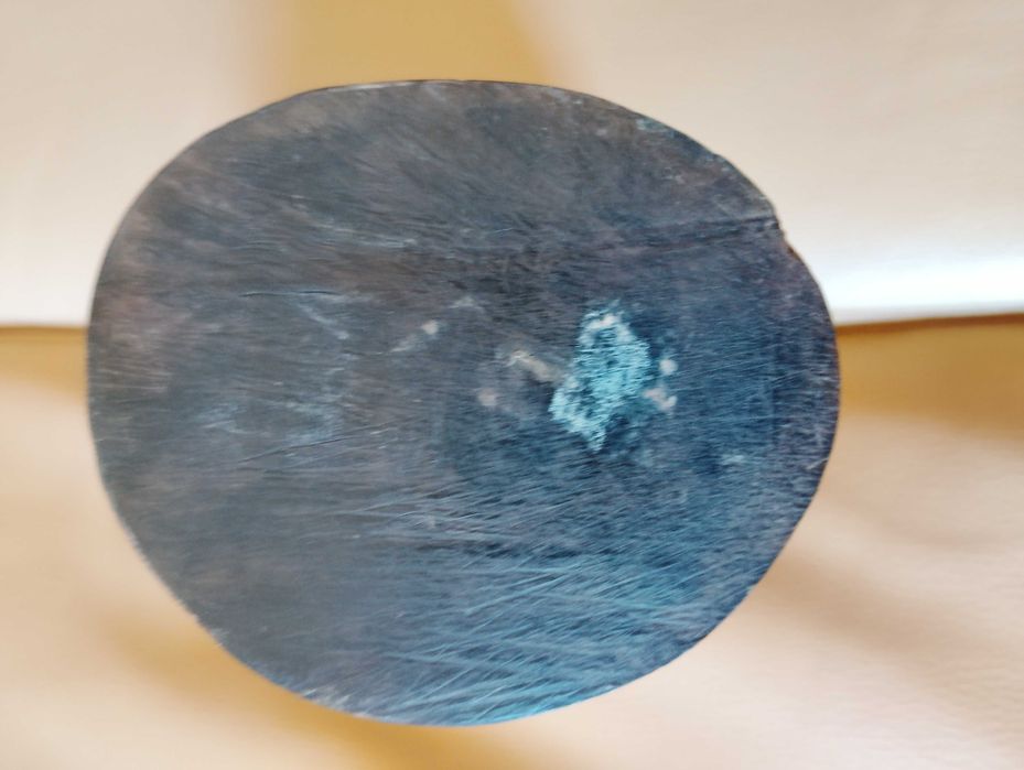 Vendo Busto em Pau Preto