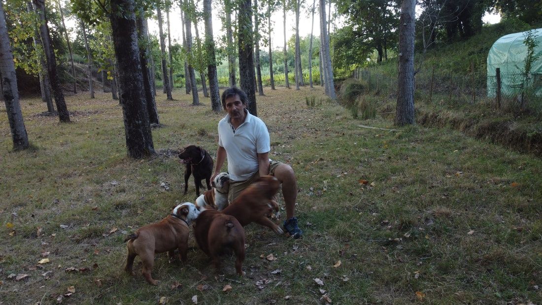 Hotel Canino Quinta dos Patuscos (Coimbra)