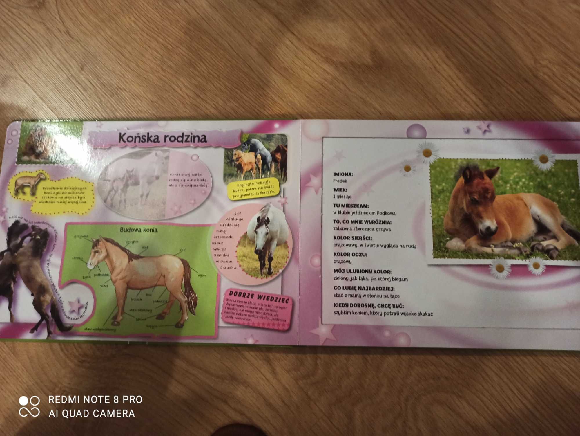 Książka z puzzlami- zwierzęta domowe