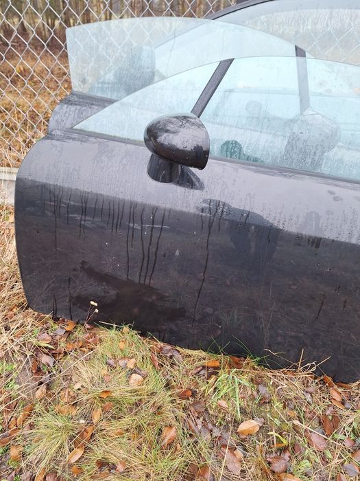 Drzwi lewe prawe audi tt 8n lz9v