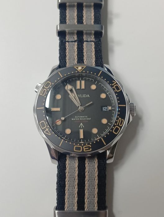 Zegarek męski Phylida NTTD