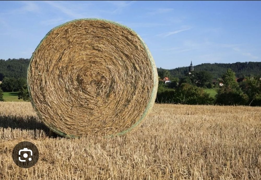 Sprzedam bele słomy