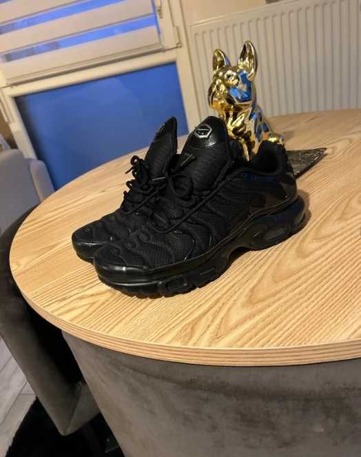 Buty meskie Mokasyny Nike_Air_Max_TN_Plus_Black R.44