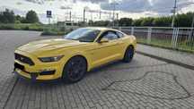 Ford Mustang GT 2015 5.0 manual PREMIUM GT350