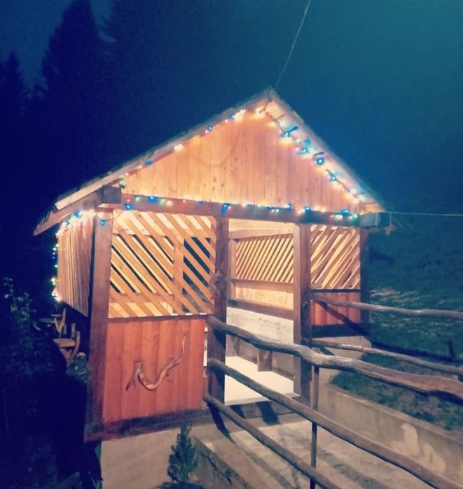 Відпочинок у карпатах. Ціна договірна