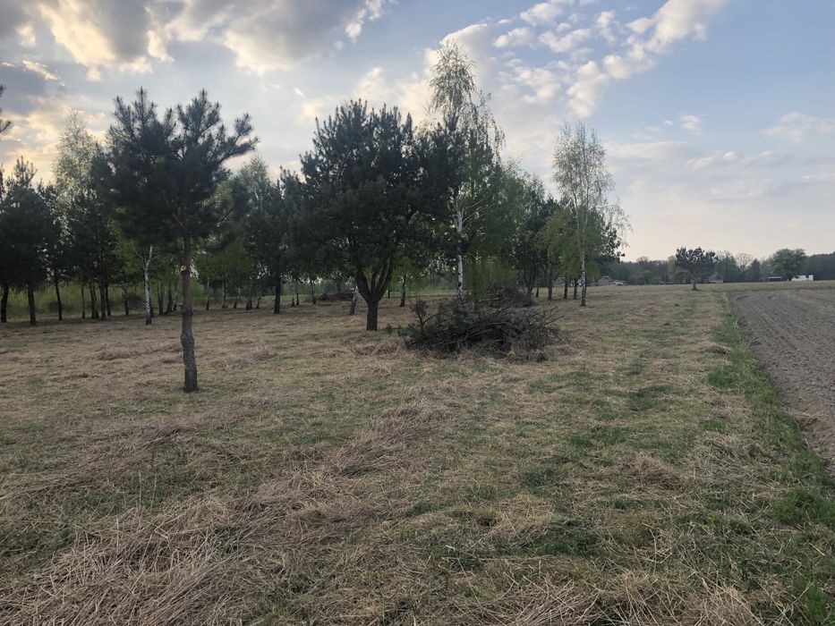 Działka rolno-zagrodowa 1ha, 30min od Warszawy, Ciepłe, możl. Zabudowy