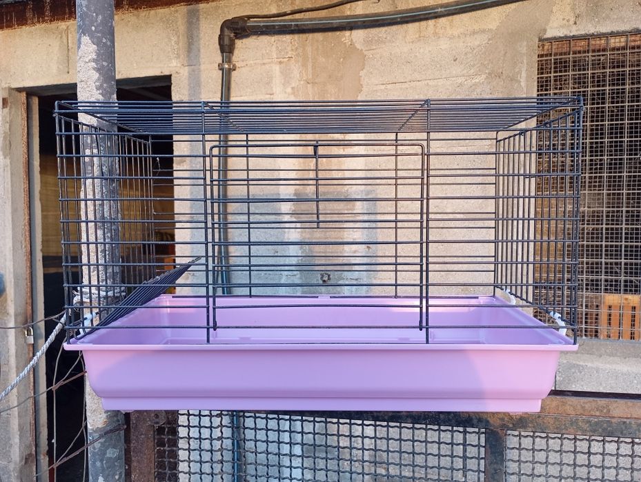 Gaiola para coelhos anões