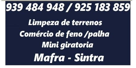 Limpeza de terrenos corte de arvores