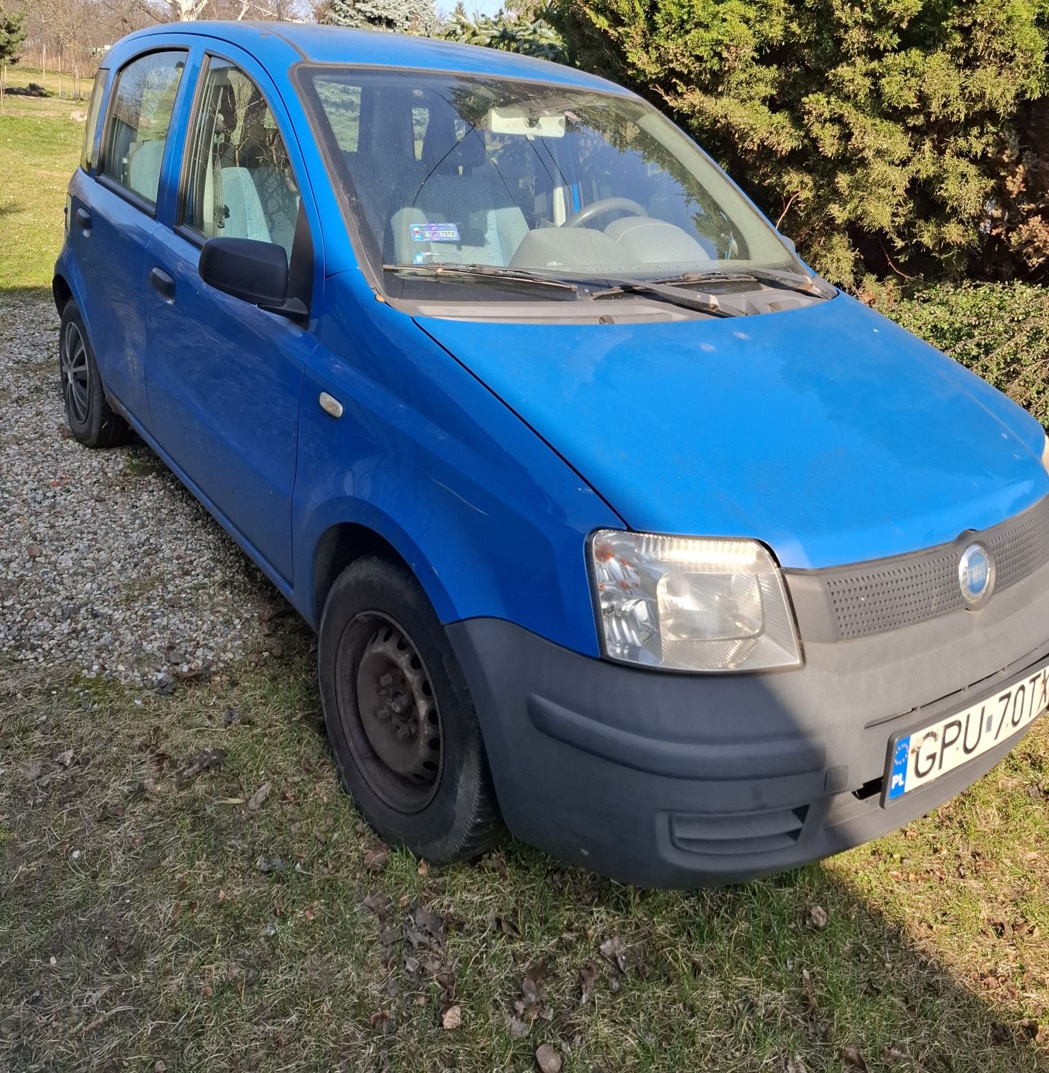 Niebieska Panda 03 - 13