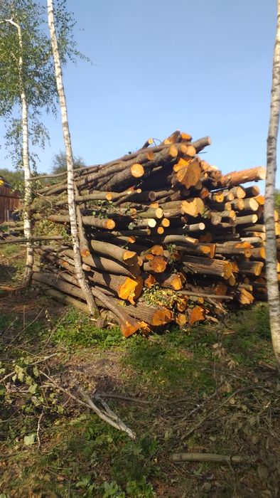 Sprzedam drewno opałowe kominkowe suche