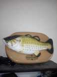 Peixe sensacional willy