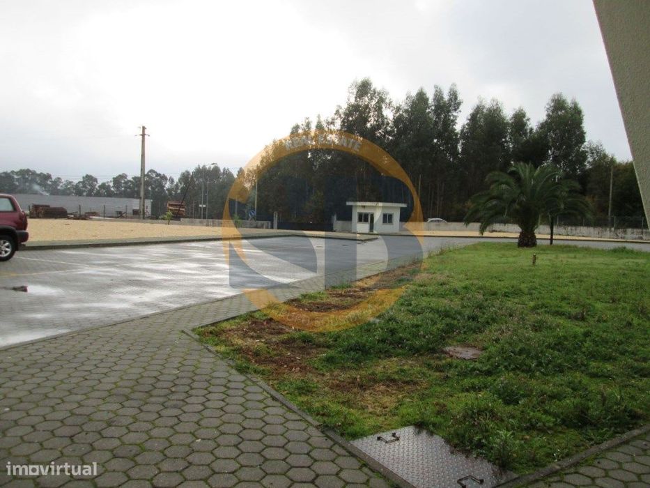 Terreno Vale de Cambra