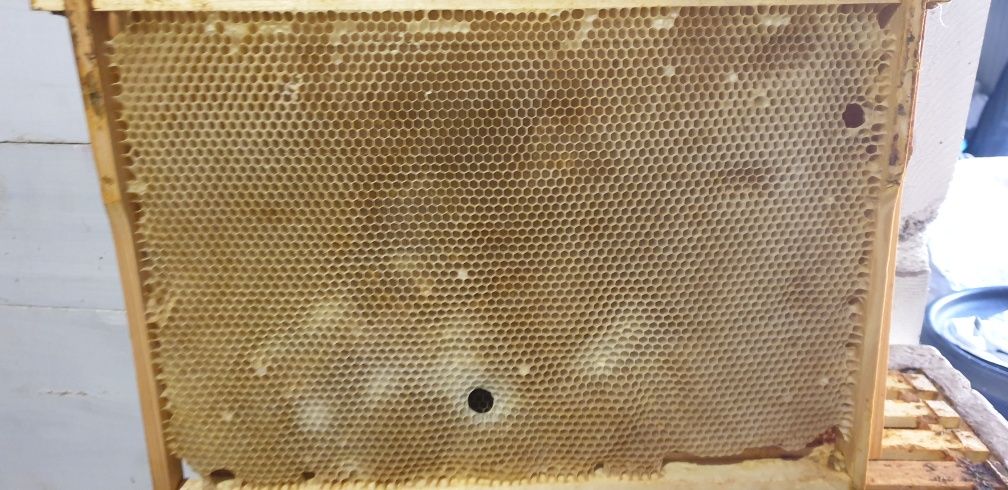 Сушь для пчёл рамки 300 ммм, 230мм, 145 мм