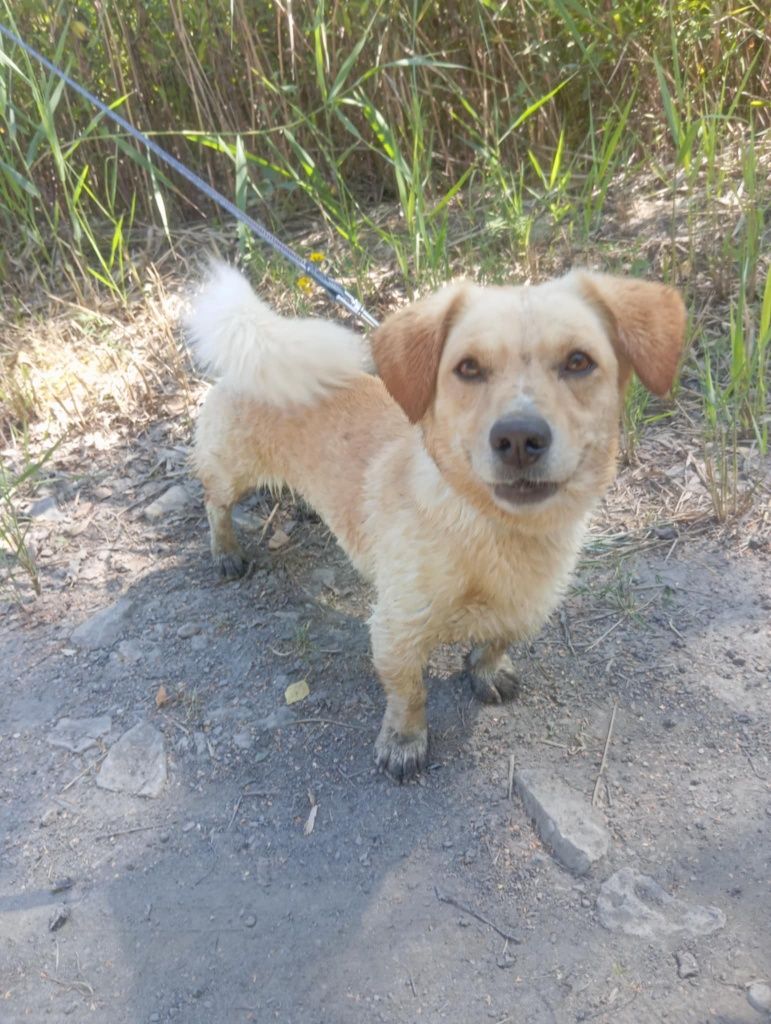 Alwin gorąco poleca się do adopcji:)