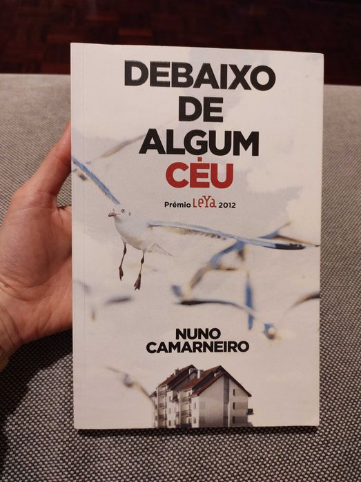 Livro Debaixo de Algum Céu