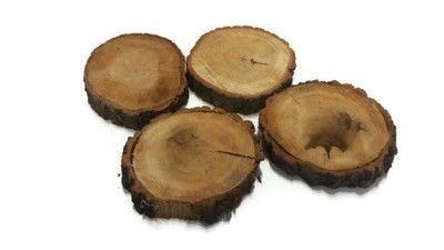 Dąb plastry drewna na taras ścieżka chodnik Dębowe