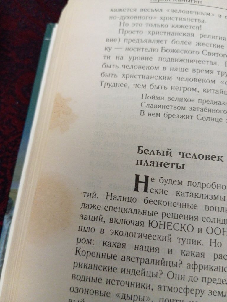 Юрий Каныгин романы