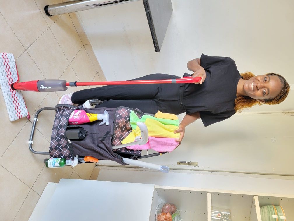 Limpezas DIONA CLEANING QUEEN