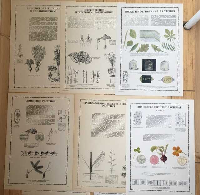 1947 "Жизнь Растения" Альбом наглядных пособий 28 плакатов