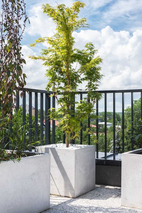 Donice z włókna szklanego na wymiar. Każdy kolor. Imitacja betonu