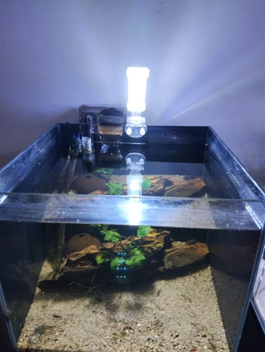 Aquário cubo de 40