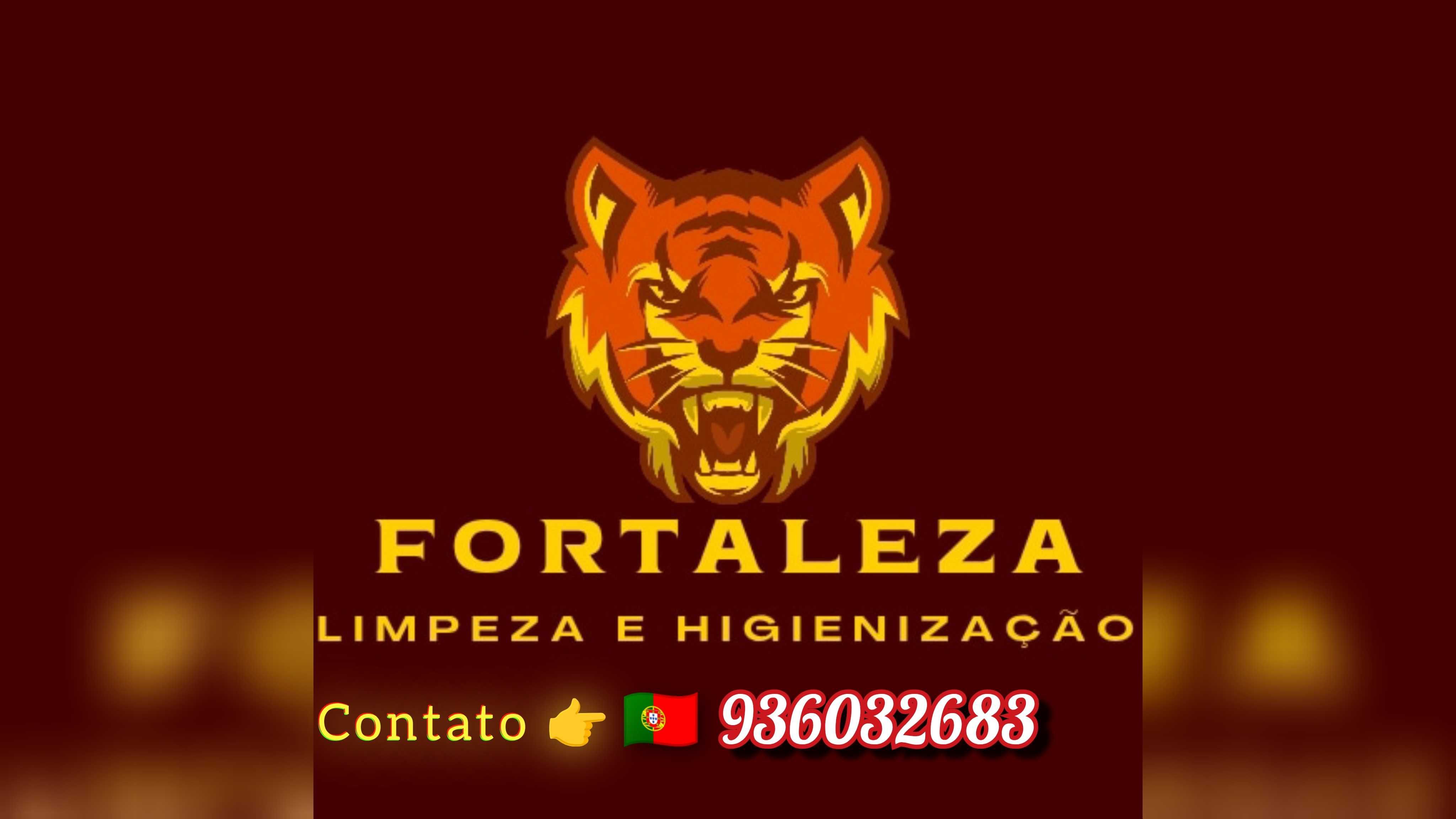 Higienização de estofos