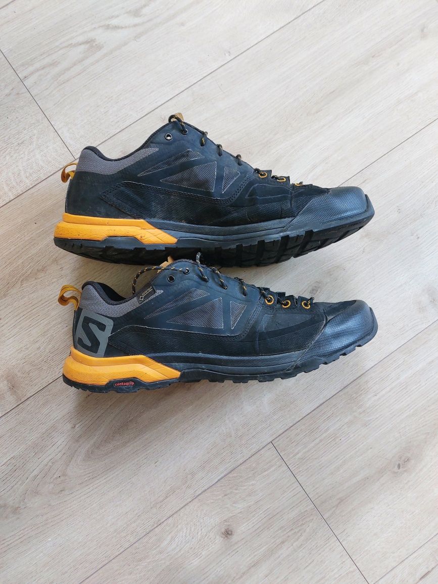Salomon X Alp Spry Gtx