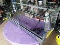 Terarium 100x40x40