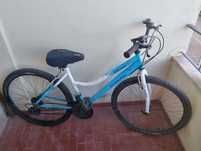 Bicleta JL-Wenti mtb-650