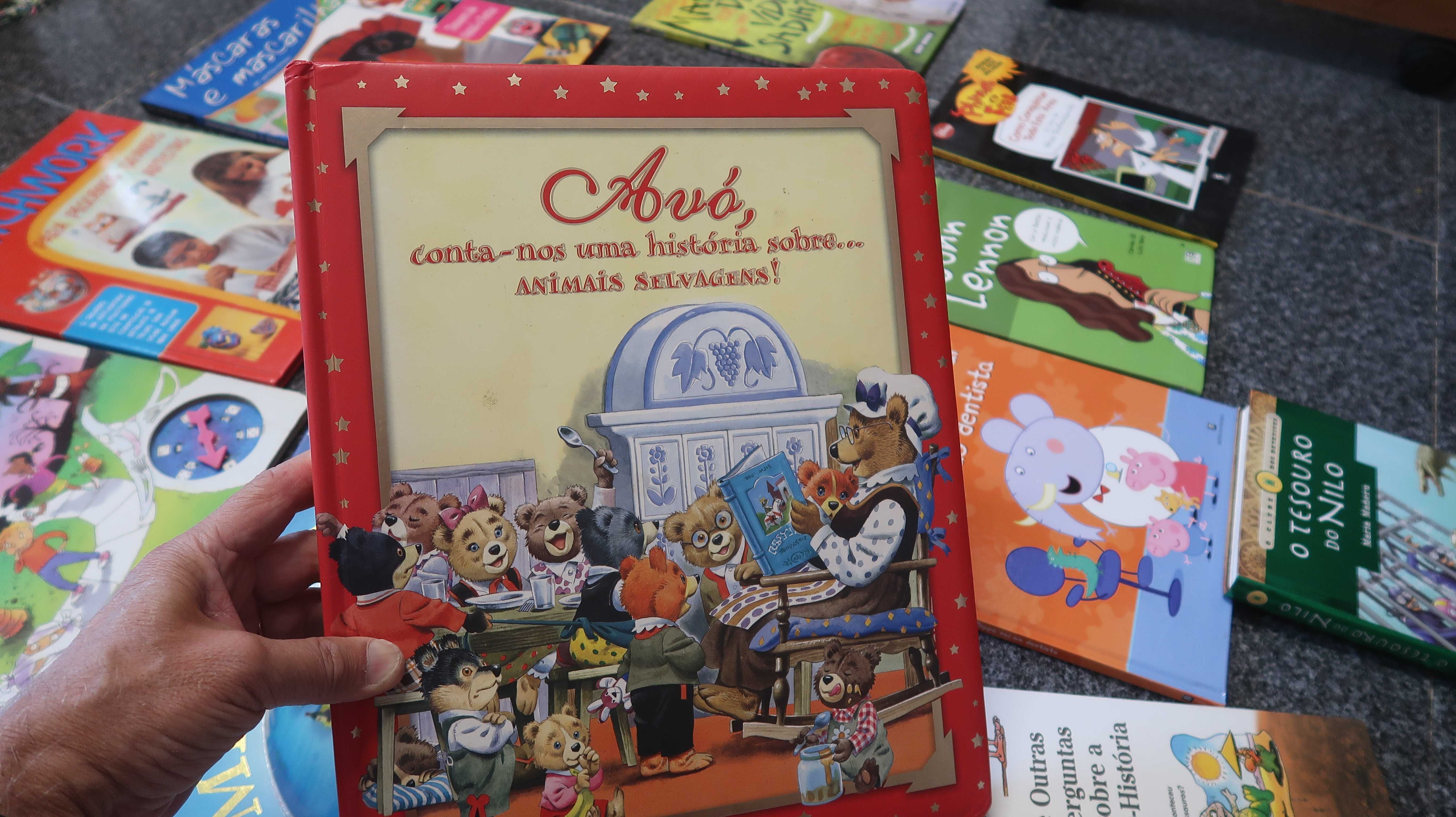 Conjunto 15 livros juvenis