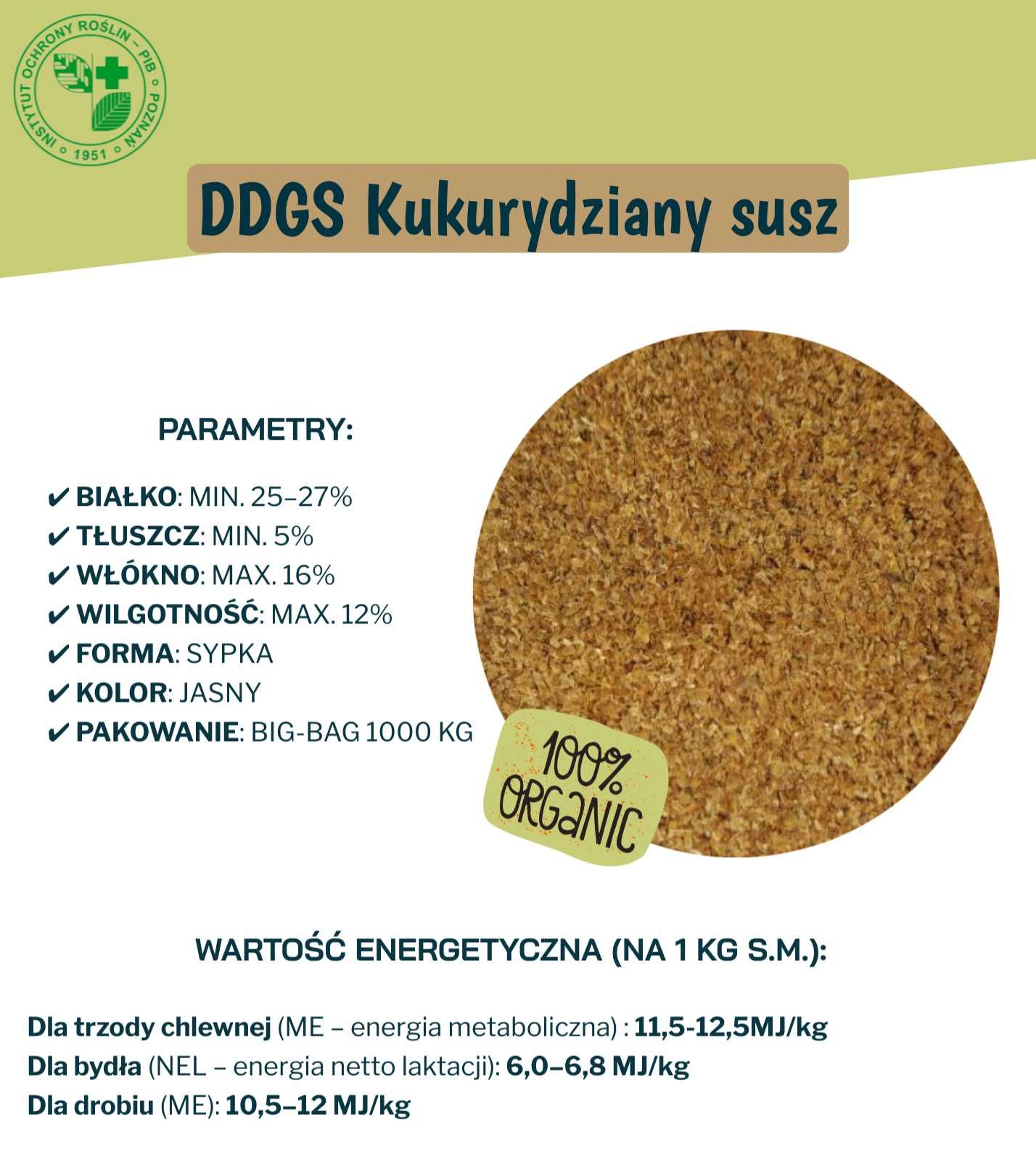Wysokoenergetyczna pasza - DDGS| Młóto browarniane| Makuch sojowy