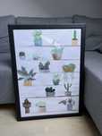 Obraz w ramce 56*76 cm