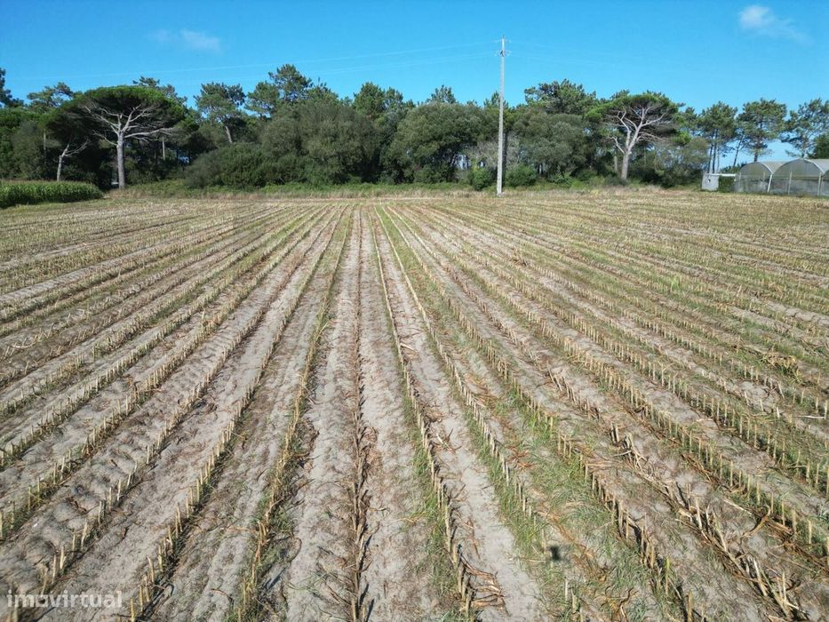 Terreno Rústico com 2,5 Hectares | Zona do Rio Alto – Estela, Póvoa de