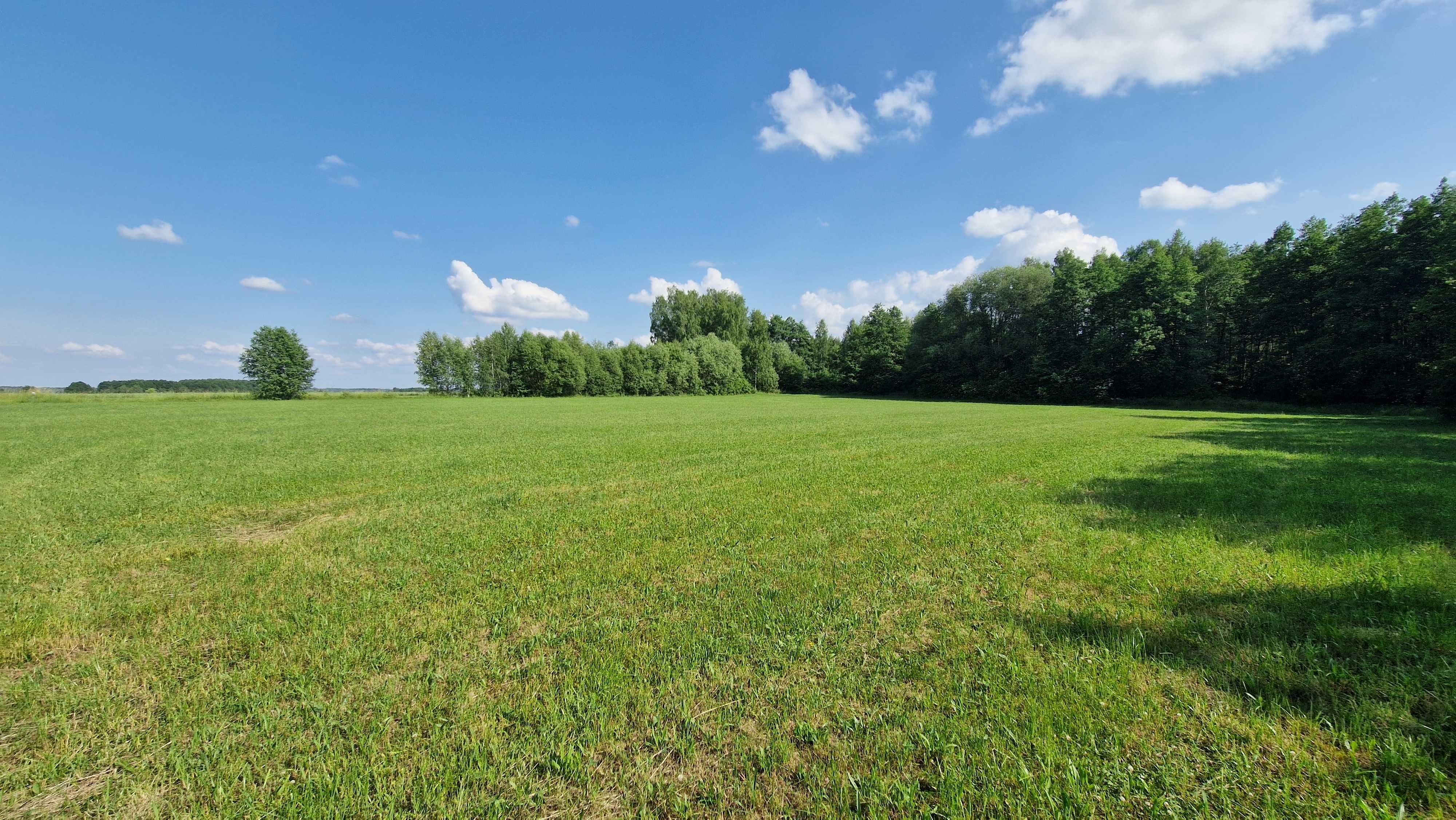 Duża działka siedliskowa -  pow. 1,20 ha - Zabłudów