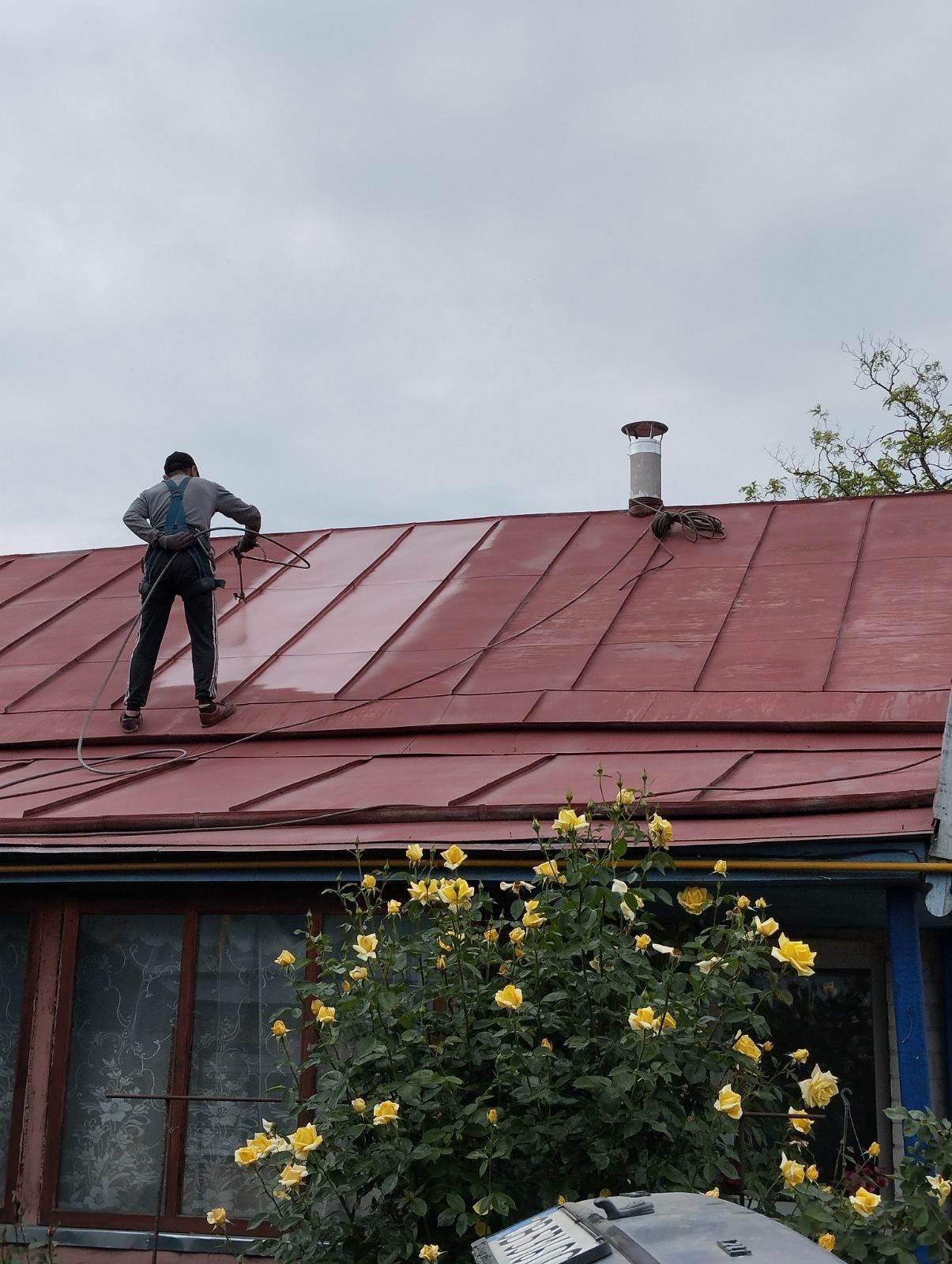 Фарбування та чистка дахів Бутурін . Покраска крыш Батурин и обл