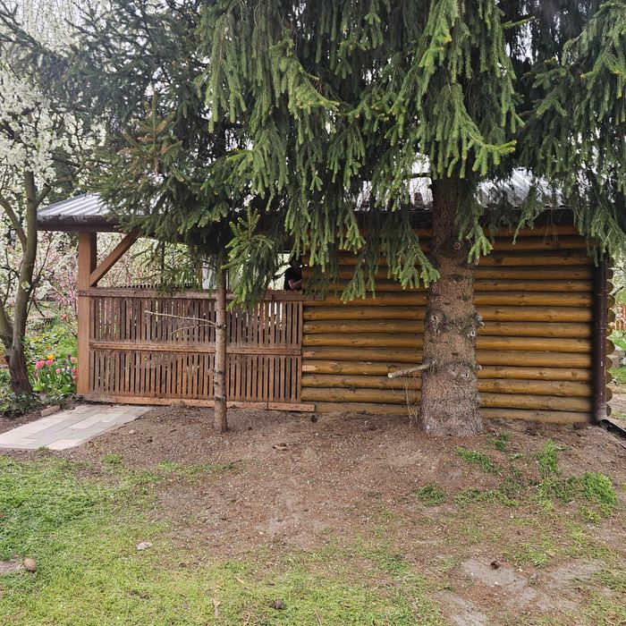 Działka ROD Czeremcha