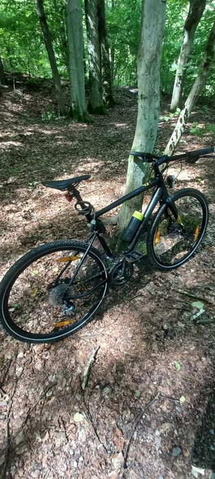 Rower Bergamont Sweep 6.EQ