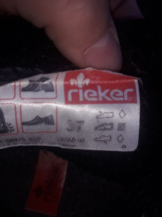 Демисизонные ботинки rieker