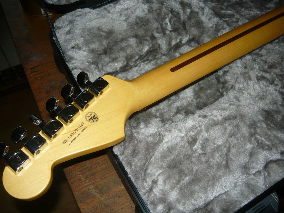 Fender American Professional II Stratocaster