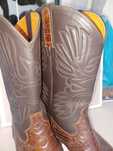 Botas texanas impecáveis