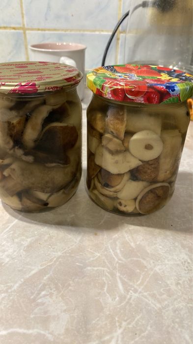 Мариновані опеньки,підберезники,підосичники