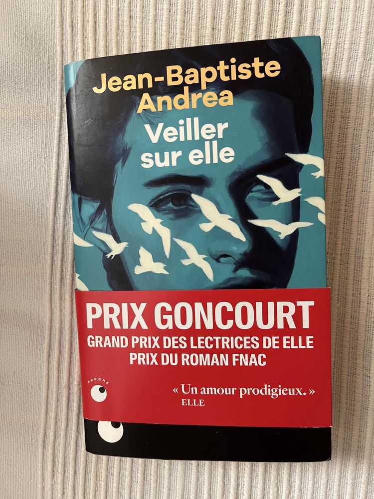 Lote de 10 livres de poche