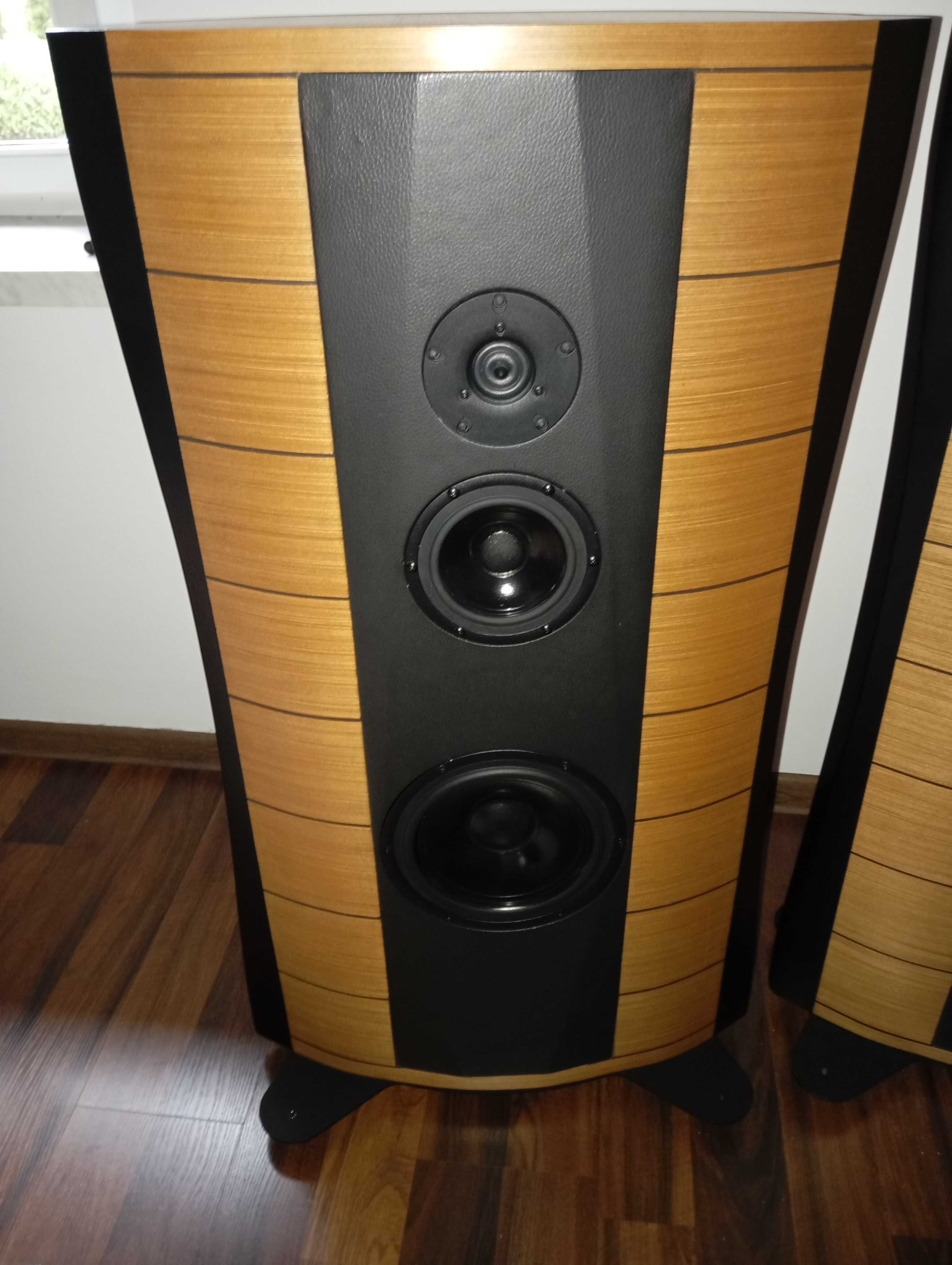 Troels Gravesen PMS DIY Sonus Faber  Scanspeak zobacz warto.