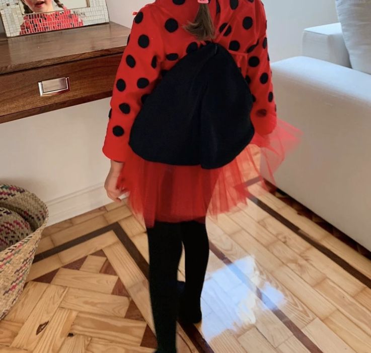 Fato de Carnaval Joaninha