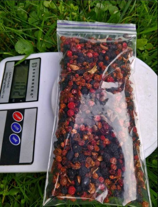 Брусниця, Чорниця, Журавлина