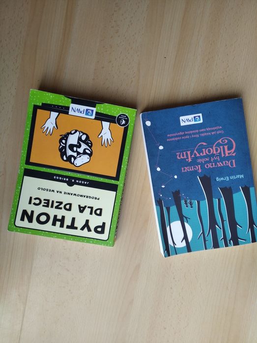 Olimpiada Informatyczna Phython dla dzieci książki